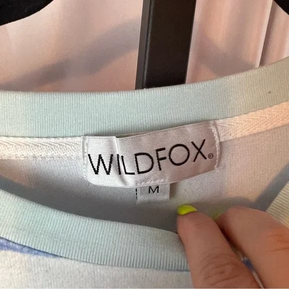 Wildfox Pool Stripes Roadtrip Long Sleeve Sweatshirt, size Medium - Picture 3 of 7